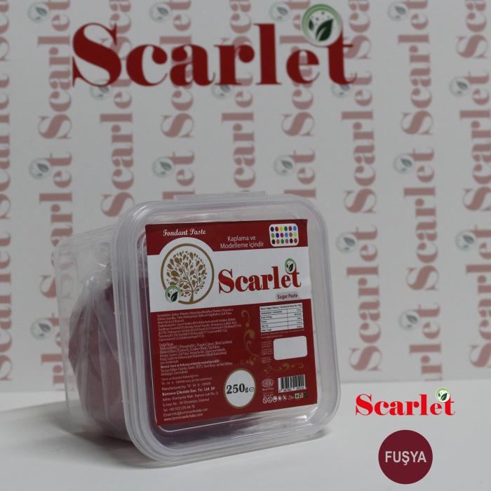 Şeker Hamuru - Fuşya - 250GR