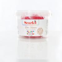Şeker Hamuru - Fuşya - 500GR