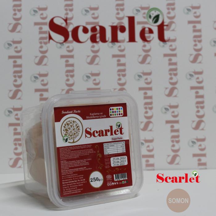 Şeker Hamuru - Somon - 250GR