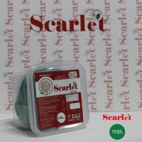 Şeker Hamuru - Yeşil - 250GR